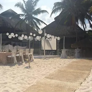 https://akiin-beach-tulum.quintano-roohotels.com